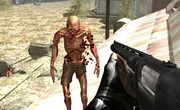 Флеш игра - Zombie Strike